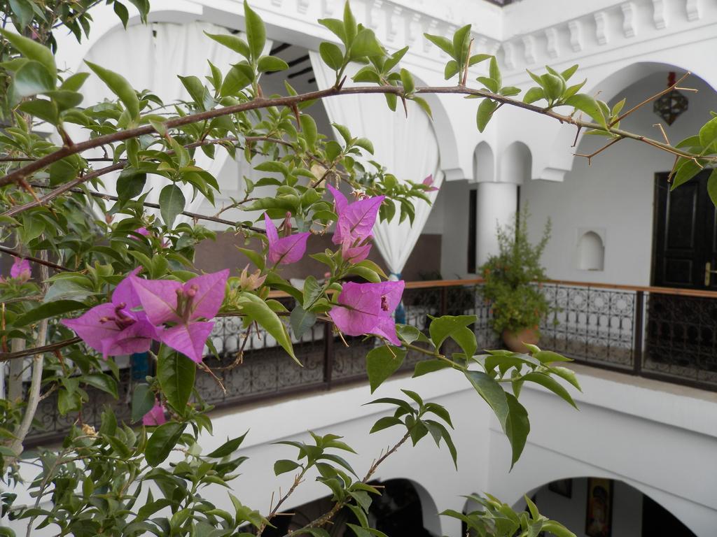 Riad Ailen Marrakesh Buitenkant foto